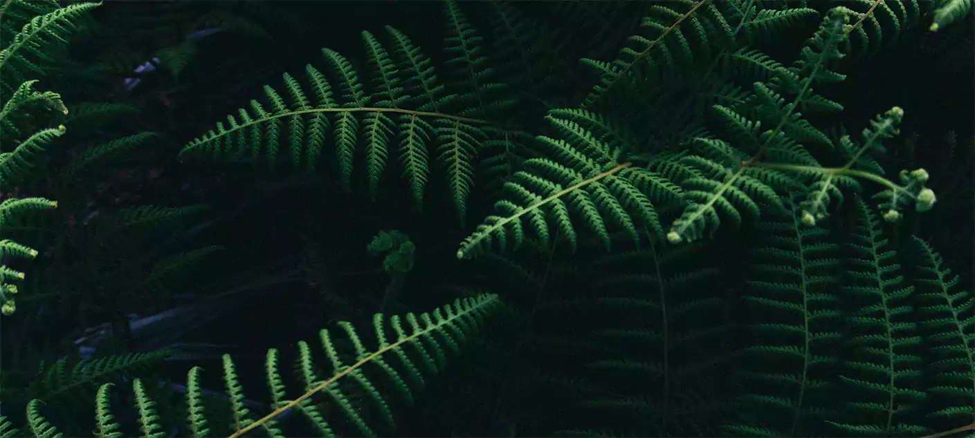 Background image alt